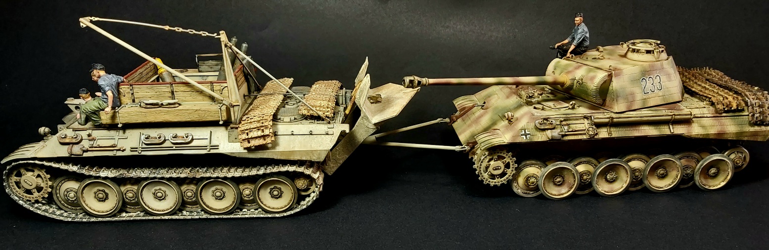 BERGEPANTHER